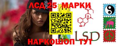 твердый Гатчина